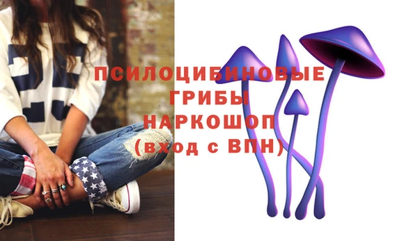 MESCALINE Алзамай